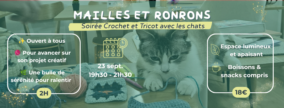 Copie de Mailles et ronrons + V2 avec initiation crochet (25)
